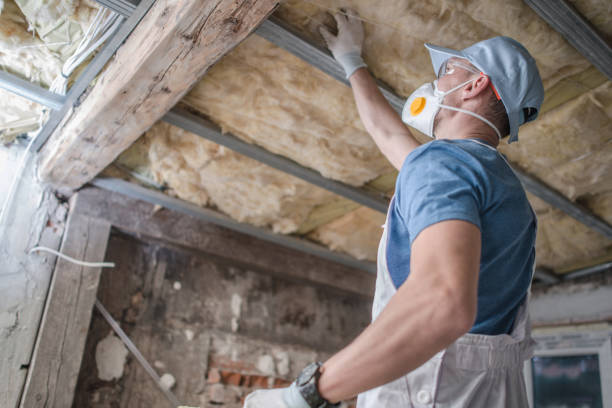 Best Insulation Maintenance and Repair in South St Paul, MN